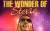 The wonder of Stevie 1600 x 1000